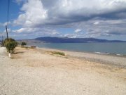 Maleme Kreta, Maleme: Grundstück für ein Hotel neben dem Strand zu verkaufen Grundstück kaufen